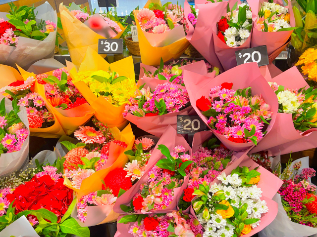 2月2日は「しし座」で満月です　表現する力が目覚めます